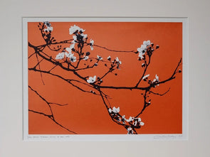 Lene Bladbjerg - 'Where Flowers Bloom' (Orange)
