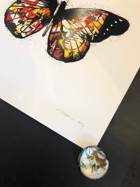 Martin Whatson - 'Butterfly' White Background (Rare edition of 15)