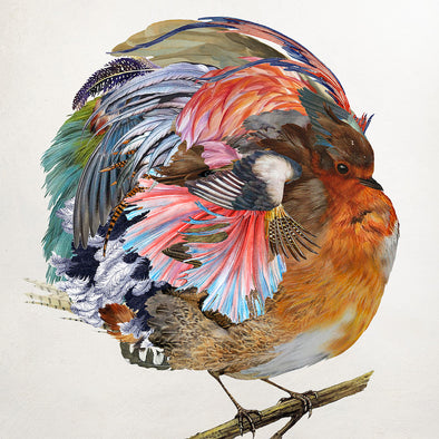 Rosco Brittin - 'A Common Robin'