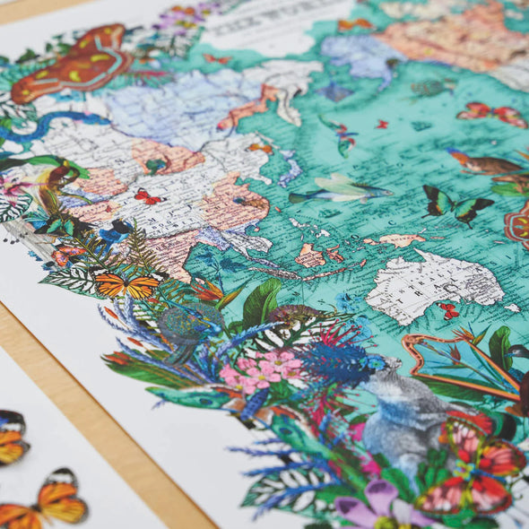 Kristjana S Williams - 'Mercator's Projection World Map'
