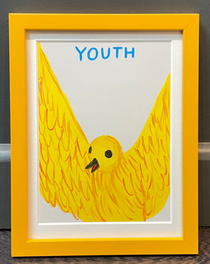 David Shrigley - 'Youth' (Mini Postcard Print)