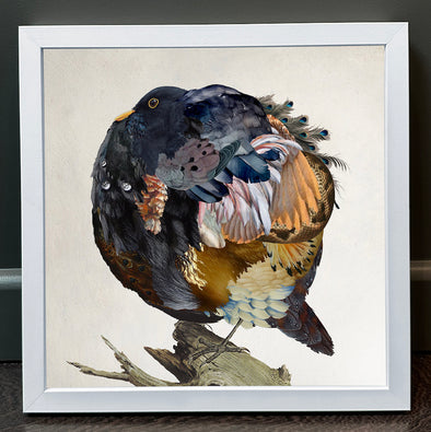 Rosco Brittin - 'A Common Blackbird' FRAMED TO ORDER