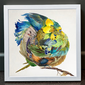 Rosco Brittin - 'A Common Green Budgie' FRAMED TO ORDER