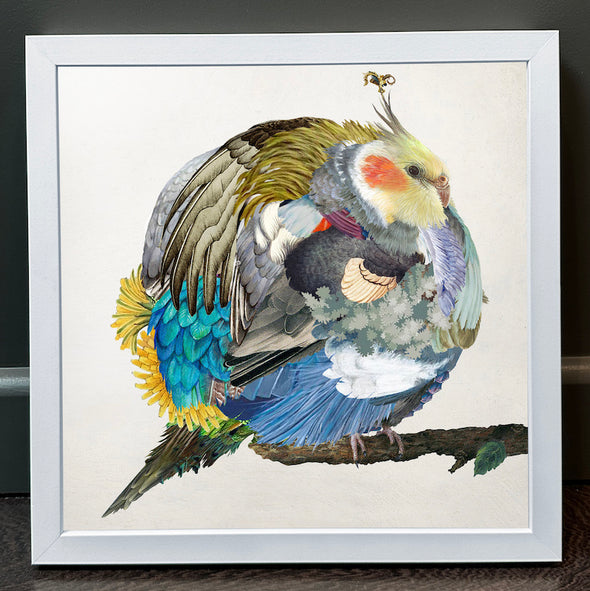 Rosco Brittin - 'A Common Cockatiel' FRAMED TO ORDER