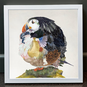 Rosco Brittin - 'A Common Puffin' FRAMED TO ORDER