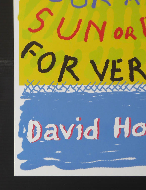 David Hockney - 'Remember You Cannot Look At The Sun Or Death For Very Long'