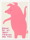 David Shrigley - 'Some Of My Best Friends Are Pigs' FRAMED TO ORDER