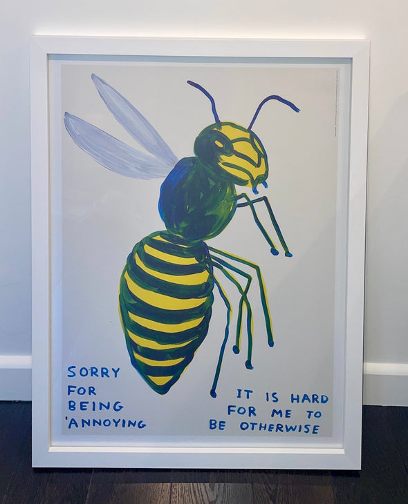 David Shrigley - 'Sorry For Being Annoying' FRAMED TO ORDER