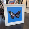 Martin Whatson - 'Butterfly' (Blue Background Special Edition)