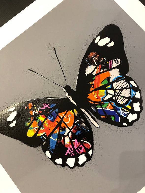 Martin Whatson - 'Butterfly' (Grey Background)