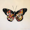 Martin Whatson - 'Butterfly' White Background (Rare edition of 15)