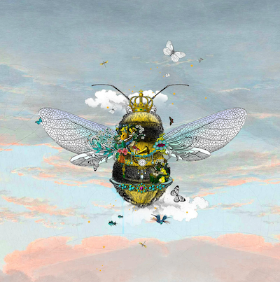 Kristjana S Williams - 'Cool Sky Queen Bee'