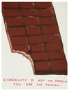 David Shrigley - 'Chocolate Is Not The Problem'