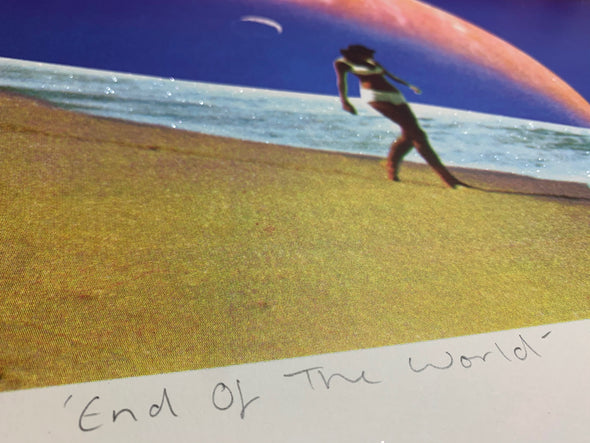 Joe Webb  - 'End of the World' WITH FRAMING ONLY