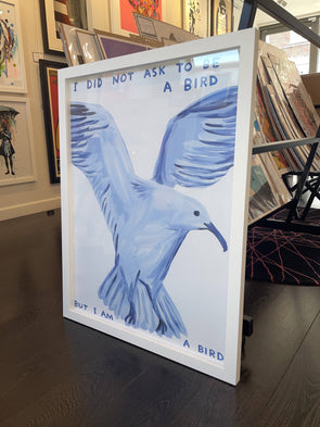 David Shrigley - 'I Did Not Ask To Be A Bird'
