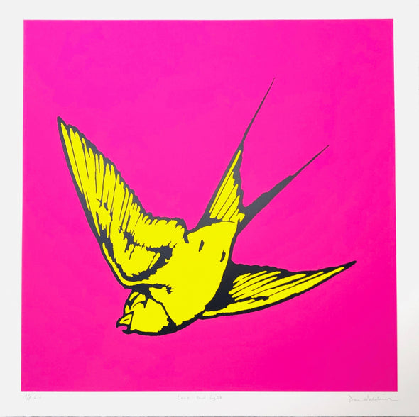 Dan Baldwin - 'Love and Light - Pink and Yellow' SOLD OUT EDITION