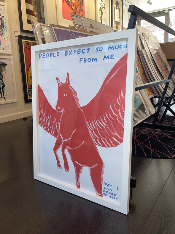 David Shrigley - 'People Expect So Much From Me'