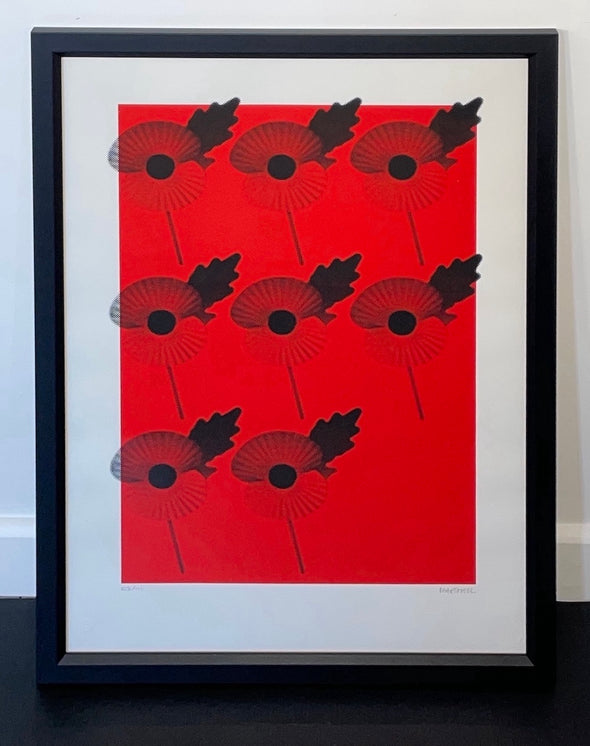 Russell Marshall - 'Poppies'