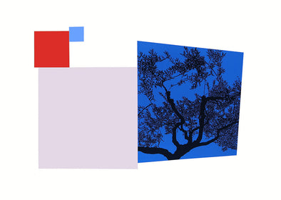 3355: Andrew Carter - 'Olive Tree, Umbria' '