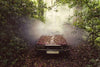 1390: Gina Soden - 'Jaguar' EMERGENCE SERIES (Framed)