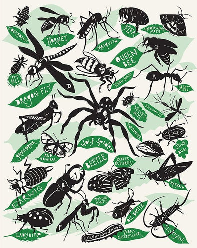67 Inc - 'The Alphabet of Insects and Bugs'