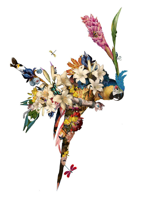 Kristjana S Williams - 'The Flower House Lear 01'